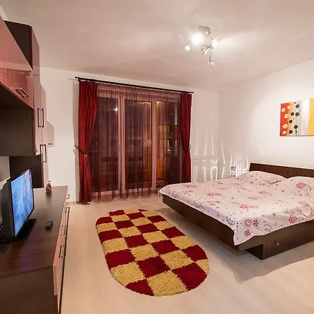 Studio Elya Brasov